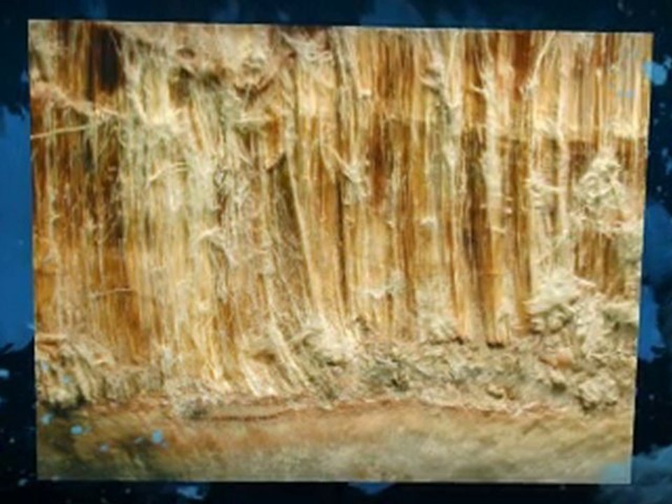 Asbestos Testing Concord CA
