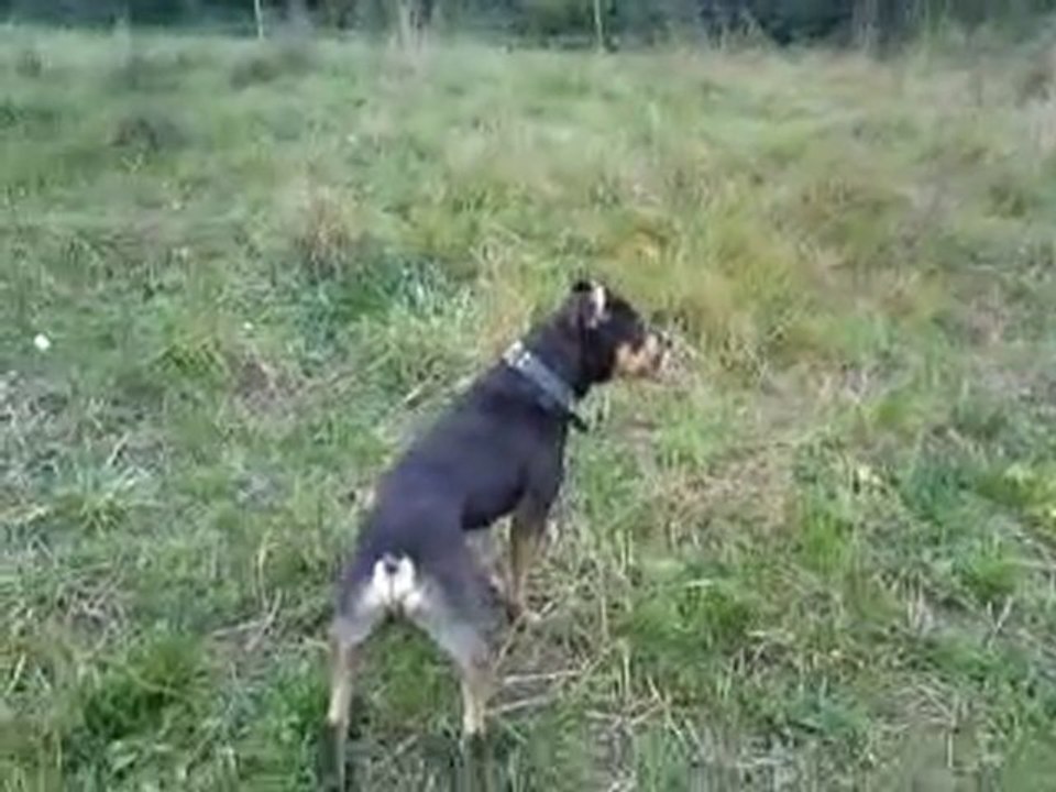 Bayron en balade (2)