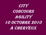 City concours Agility 10 Octobre 2010 à Cherveux