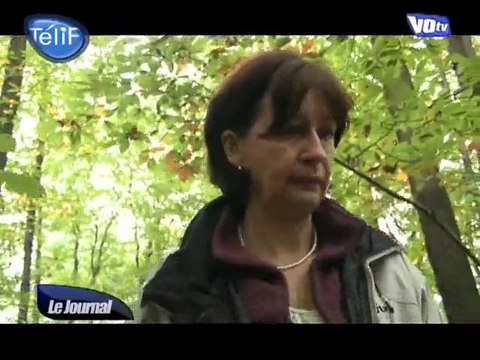 Cueillette & balade en forêt (Montmorency)