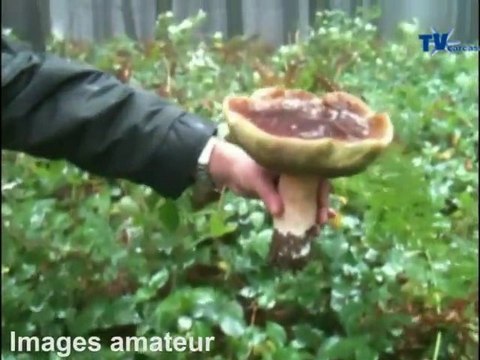 16H00 INFOS : Journal d'informations de Carcassonne 11 10 10