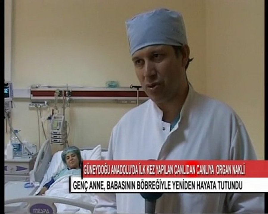 6-ORGAN NAKLİ