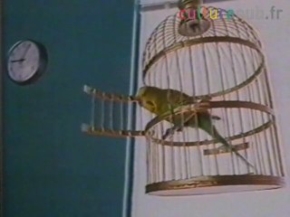 L'oiseau contre le chat