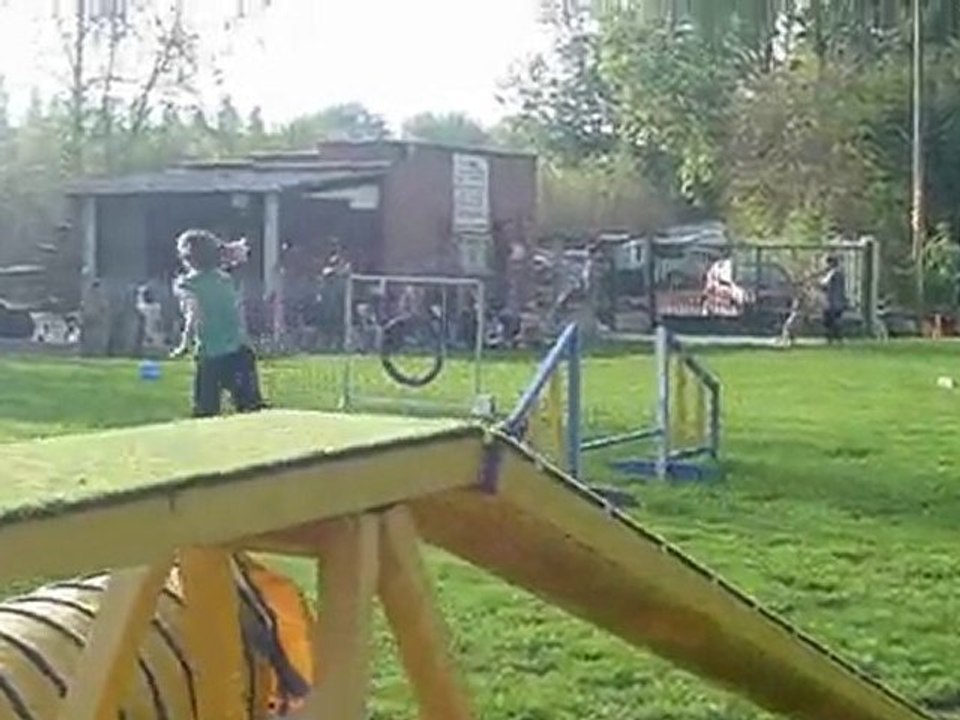 desyree et moi en agility courcelle