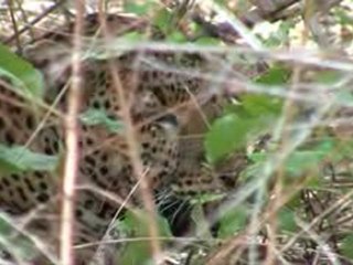 ICD-Afrique, Tourisme Solidaire au Sénégal