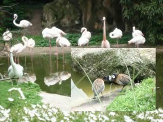 delocalisalyon-partie1