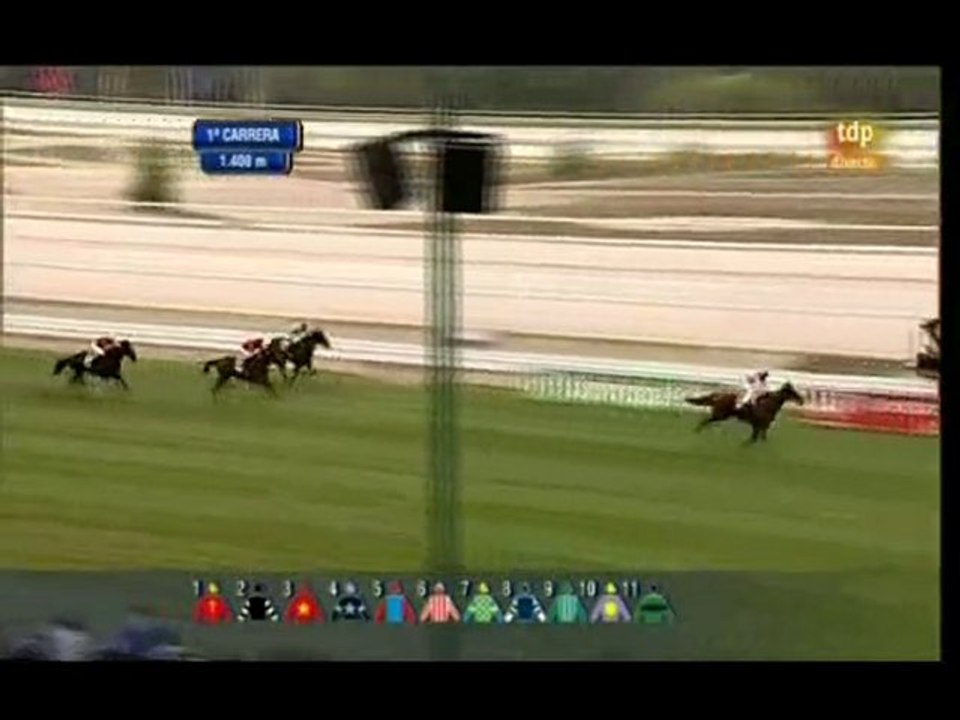 2010.10.10, nº 427 LZ (Cria Nacional (2a nac) Carlsson