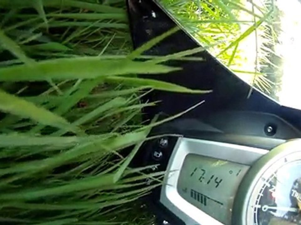 Chute Les Ecuyers 10/10/2010