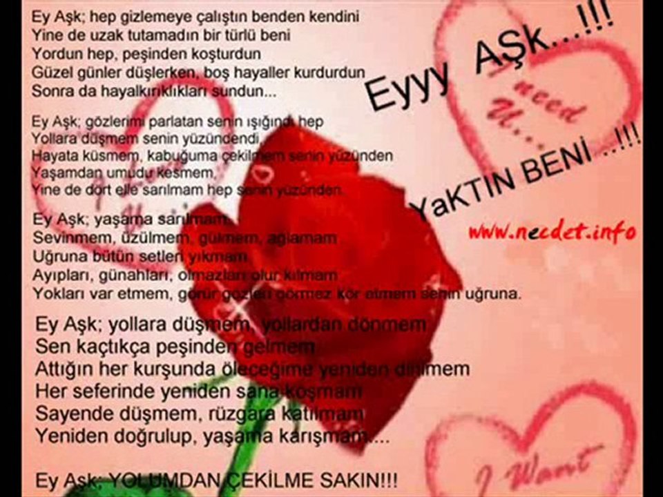 ali gedik_karanfilim