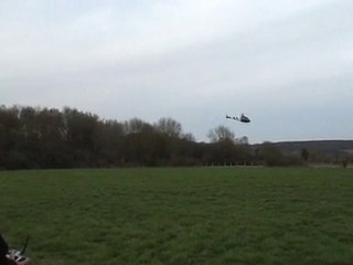 Ecureil AS 355 et T-Rex 600 ESP