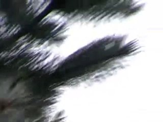 Çok küçük bir an...