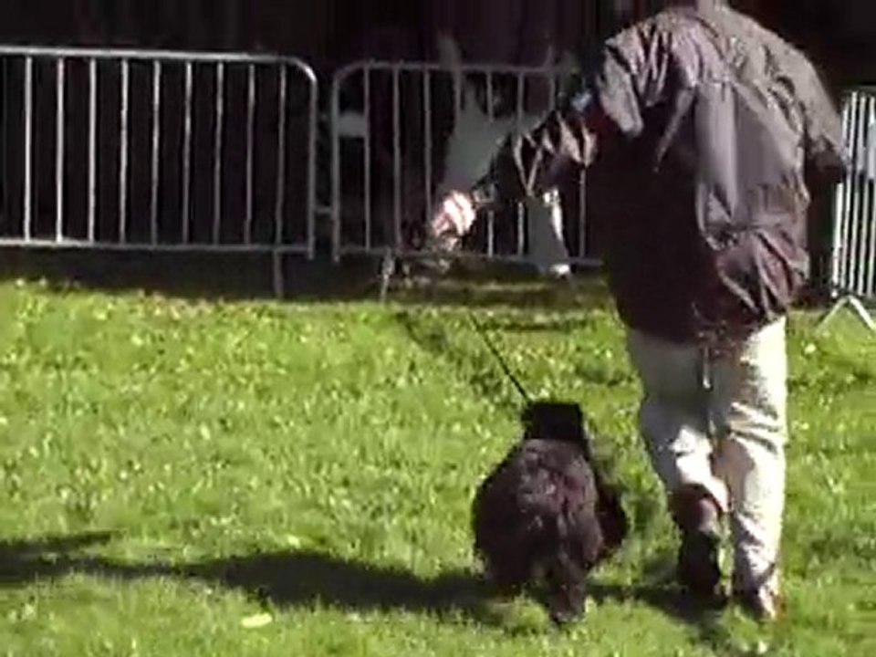 D'Ici de la Borde d'Ouzoum aux allures - RE Ohlain