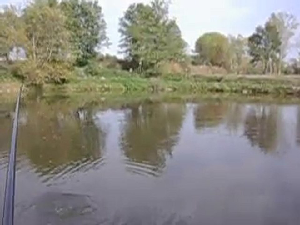 combat n°6 av caméra embarqué carpe miroir 2k