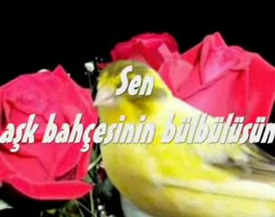 Ey Sevgili