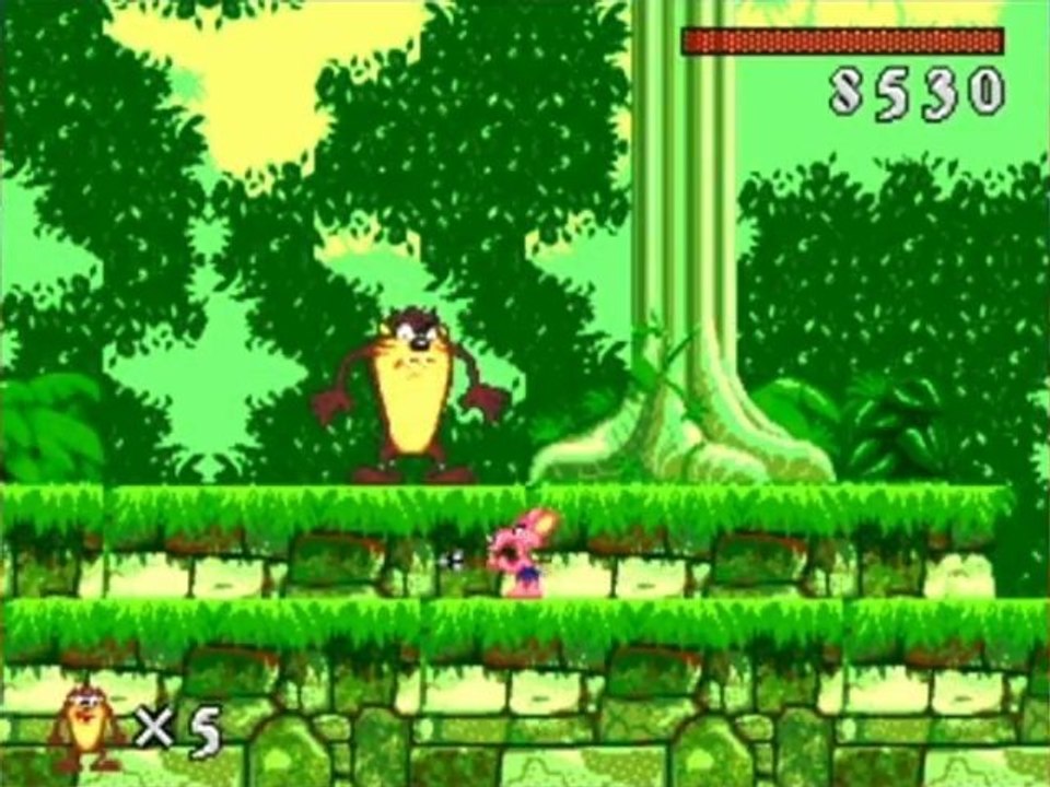 Tazmania Test Moggy Aspi Show Retro