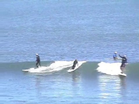 Cottesloe Beach Paddle Boarding and Surfing