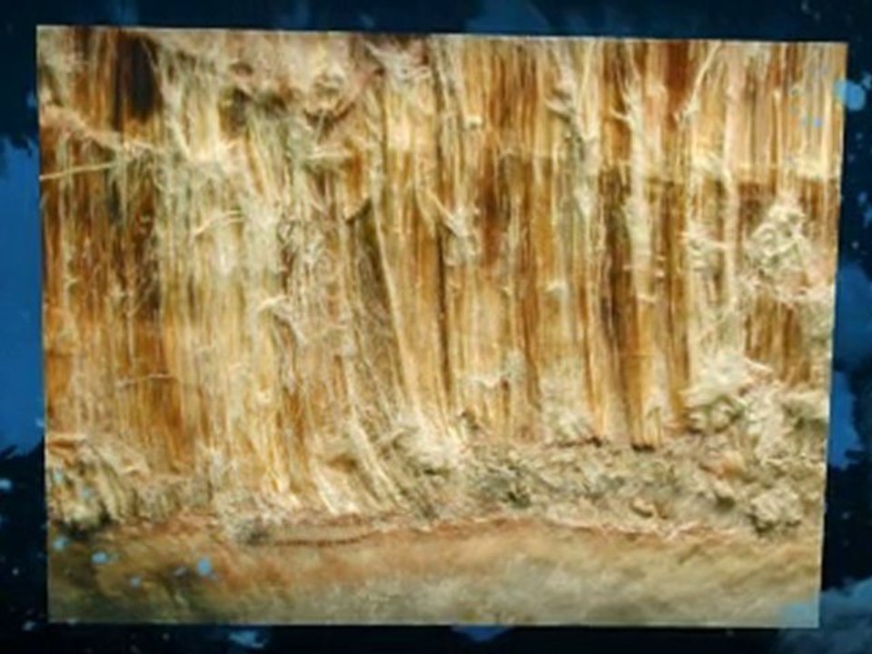 Asbestos Testing Hayward CA