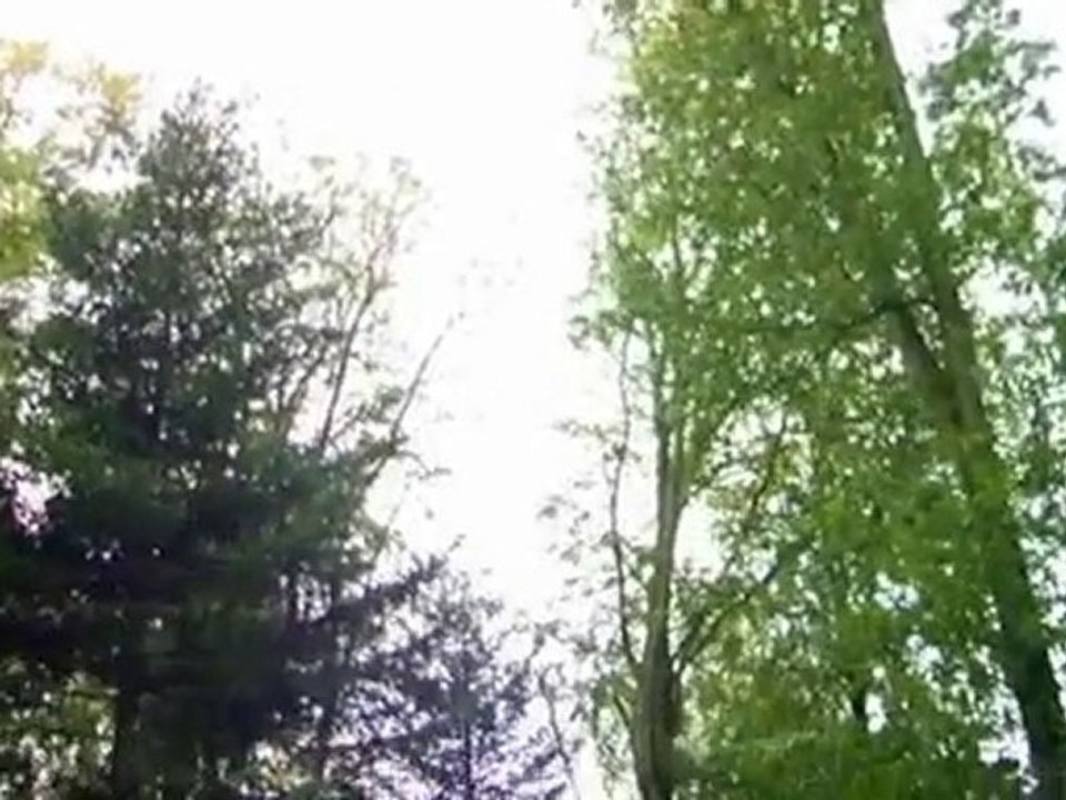 mimi super hero trucage