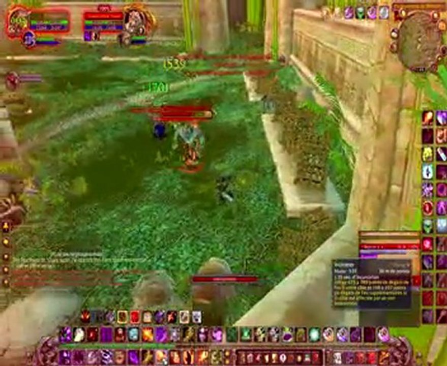 tigre ZG bug phase 2