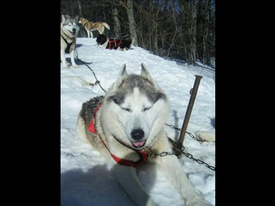 Diaporama CAMPS DE VACANCES d'HIVER