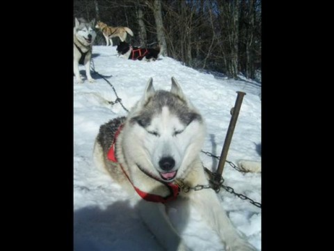 Diaporama CAMPS DE VACANCES d'HIVER