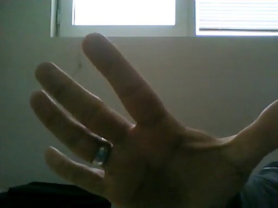 Capture 1 (12.10.2010 12-42)