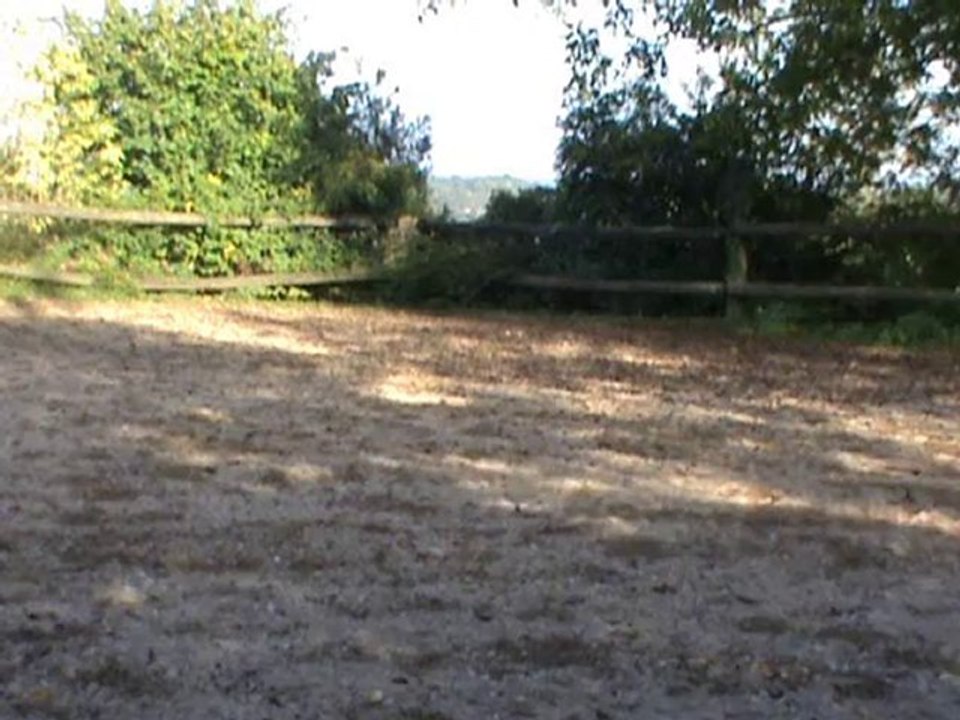 premiers appuyers  galop 11.10.10 pour yt