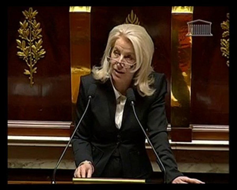 Nicole Ameline - Ratification du traité de Lisbonne - 7.02.2008 (2)