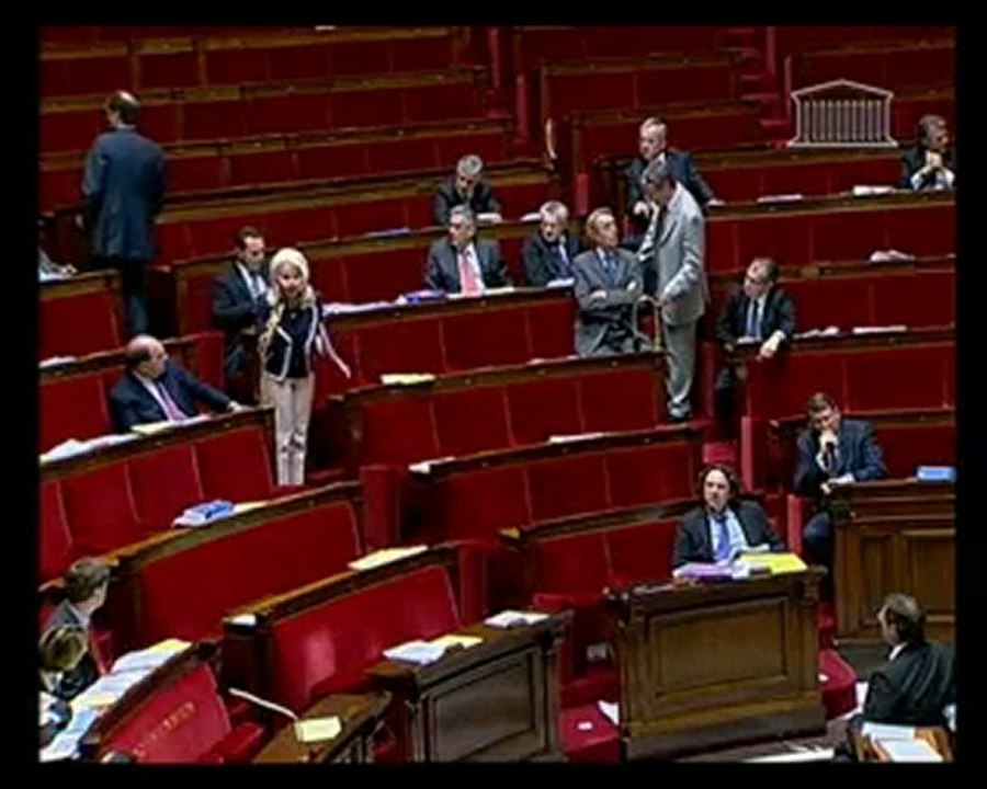 Modernisation des institutions de la V République 29.05.2008