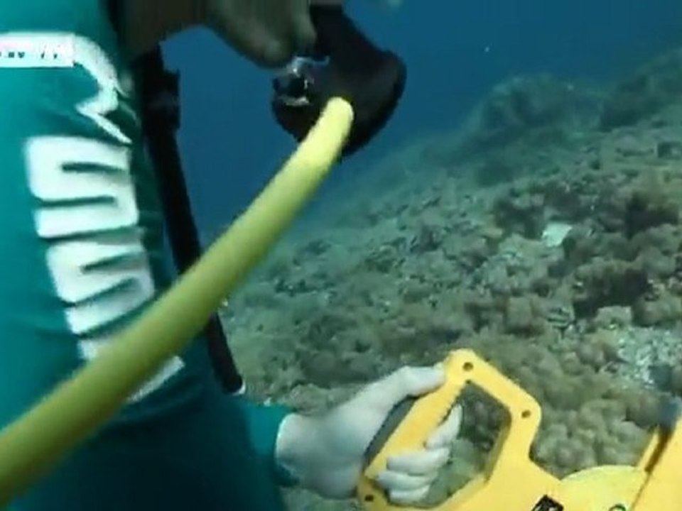 The Coral Triangle under threat | Global 3000