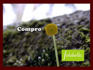 MODULO 4 - TRABAJO#12 - HAZLO TU MISMO #2: 04-03