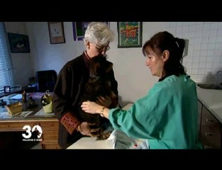 Faut-il assurer son animal ?