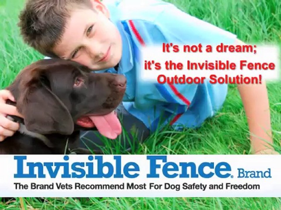 Invisible fence kit Houston