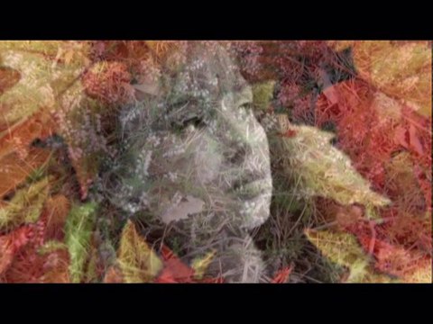 Nie bój się jesieni- Ip love 83