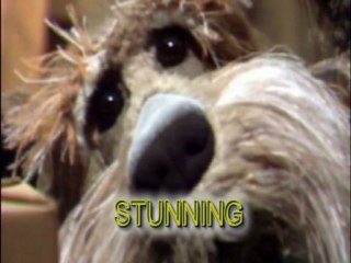 Sponser a Gamu today