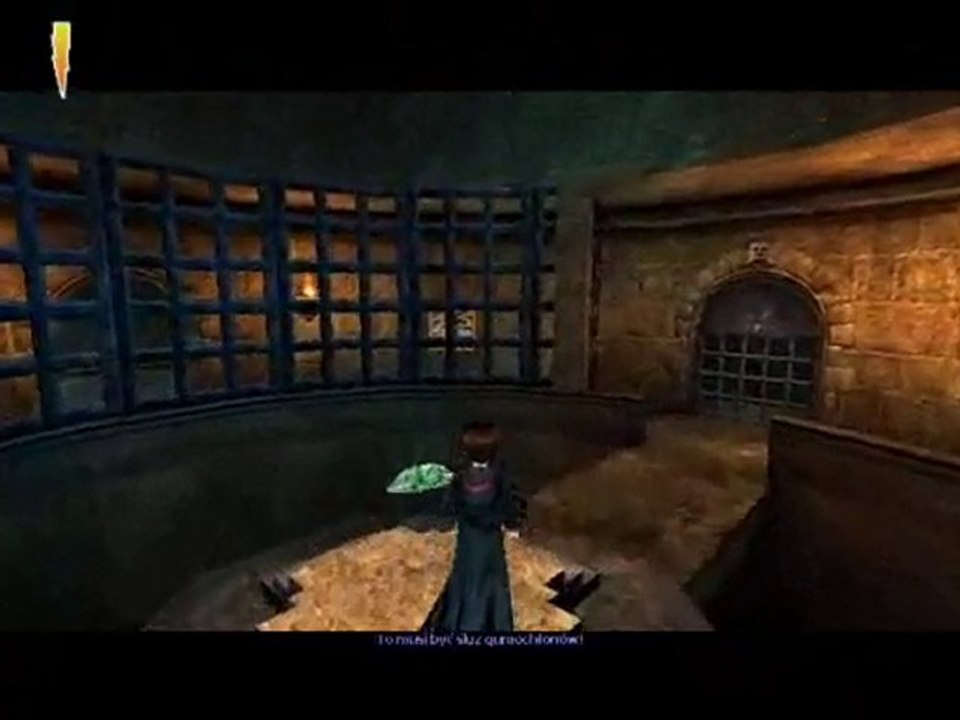 Harry Potter i Kamień Filozoficzny część 8