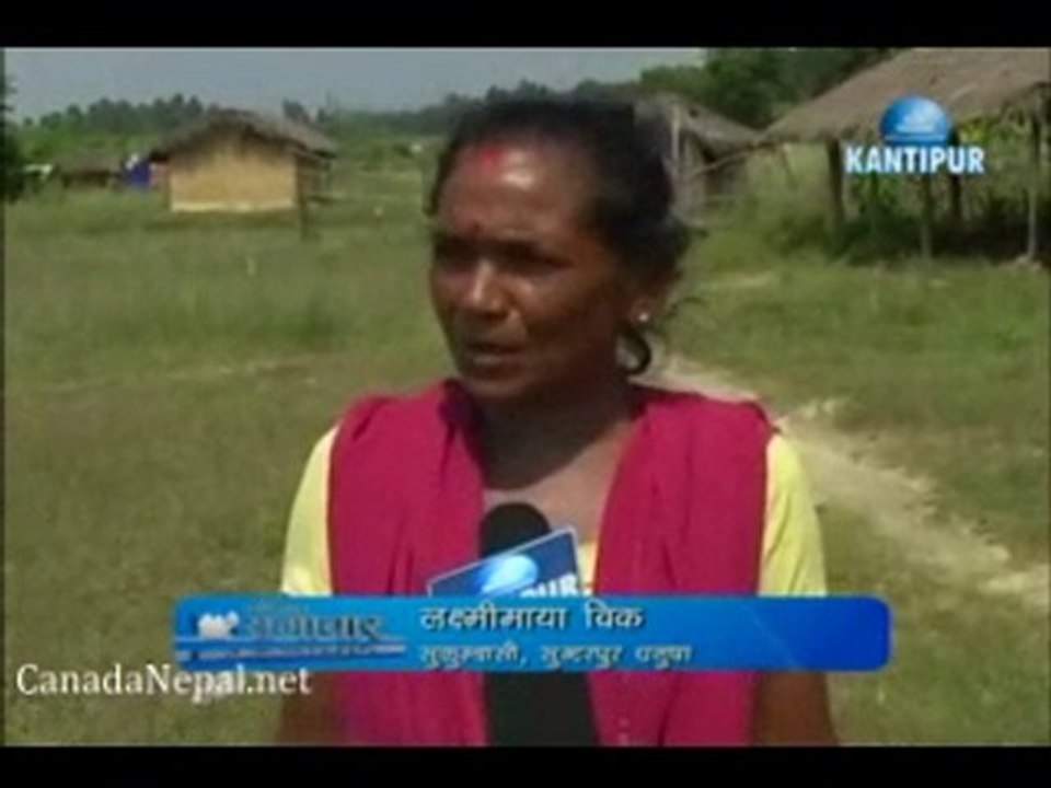News Oct 12 2010