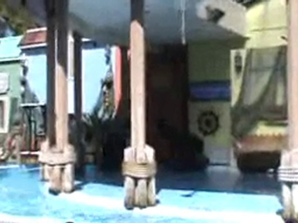 St. Louis Zoo Sea Lion Show Part II