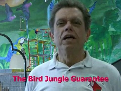 NJ Parrots,Exotic Birds