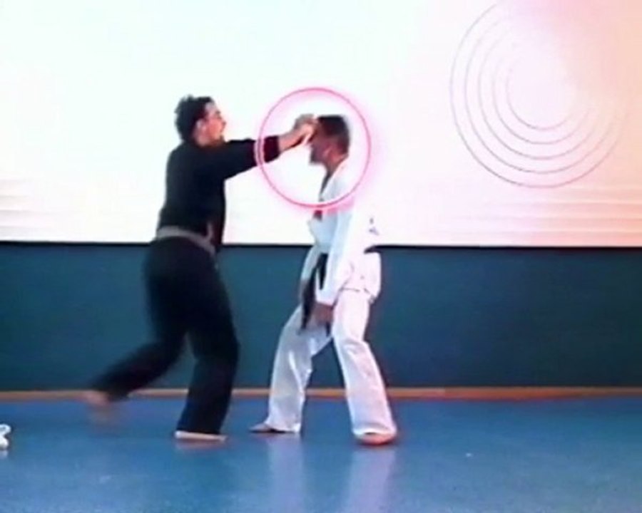 MING CHUAN - TAO PALO / SHORT STICK - 3