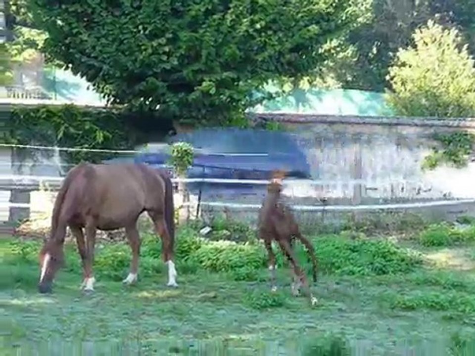 algarade deb sept 2010