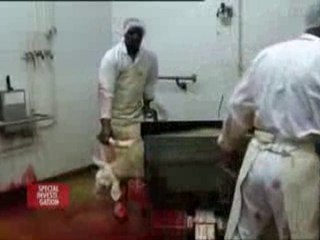 L'émission Spécial Investigation sur Canal + 11.10.10 1/3