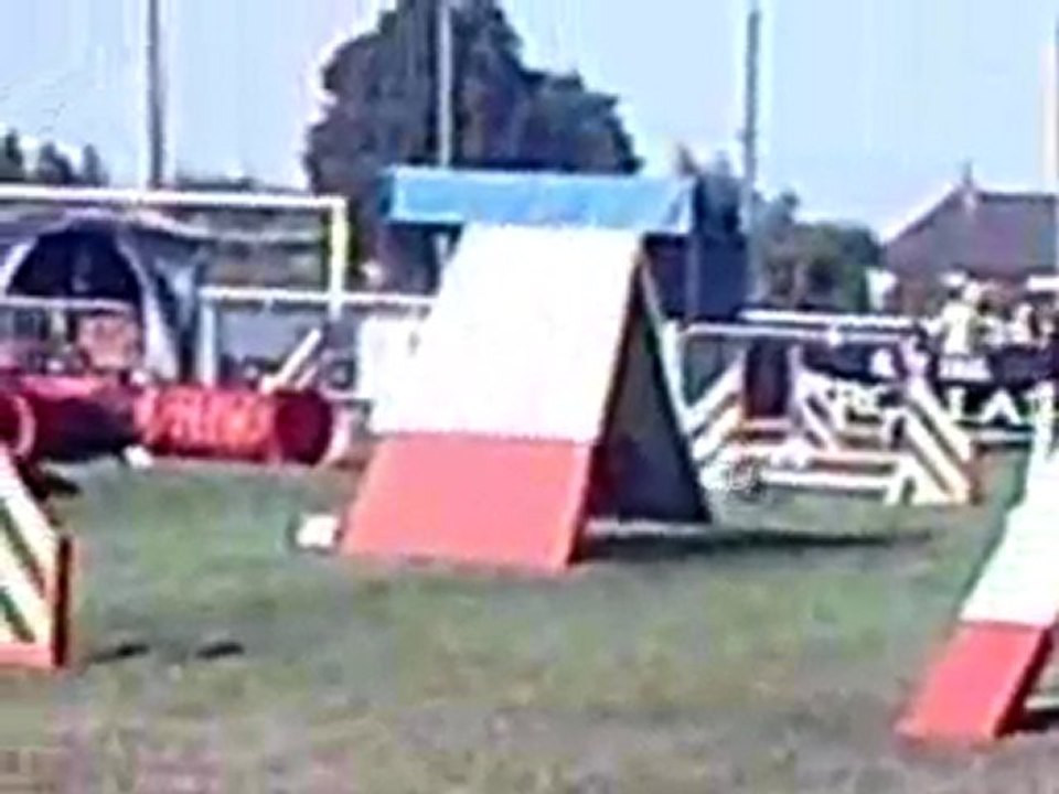 Eden Blue Second concours d'agility Arpajon
