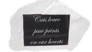 Zoobox, GP-0103-R, Pet Memorial, Cats Leave Paw Prints On