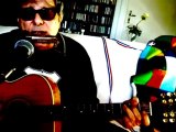 A Whiter Shade Of Pale Procol Harum Acoustic 12-string Cover