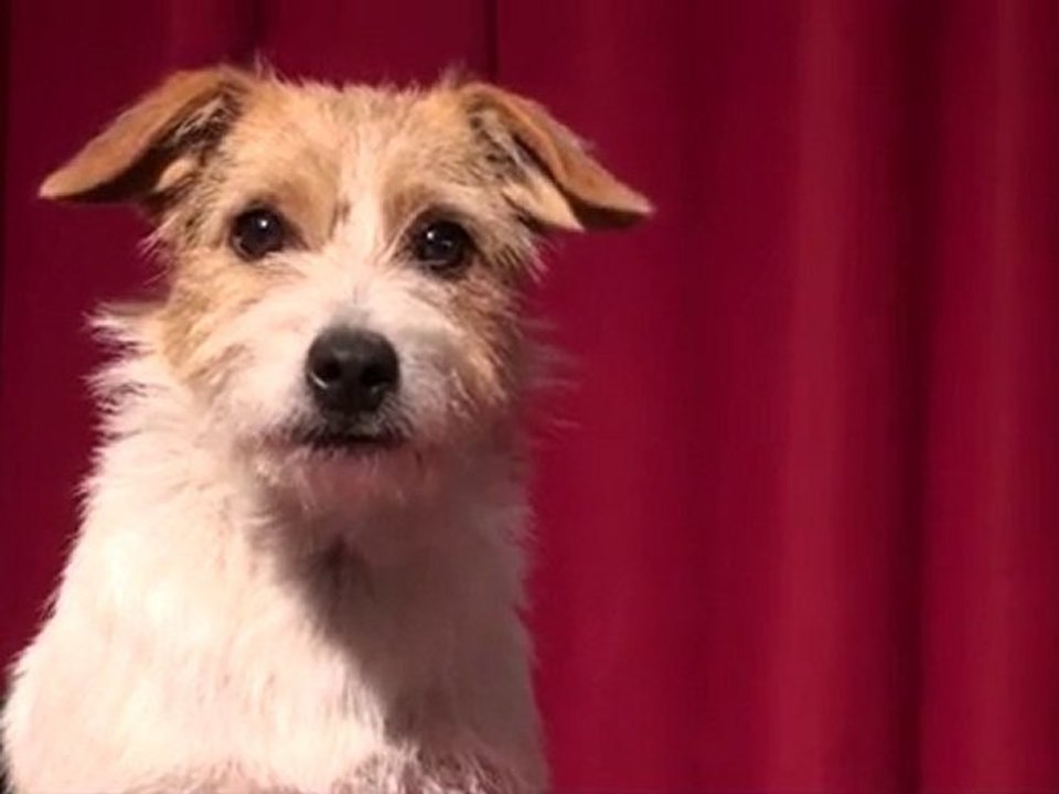 Jack Russell TV | Promotional Mugs & Personalised Mug