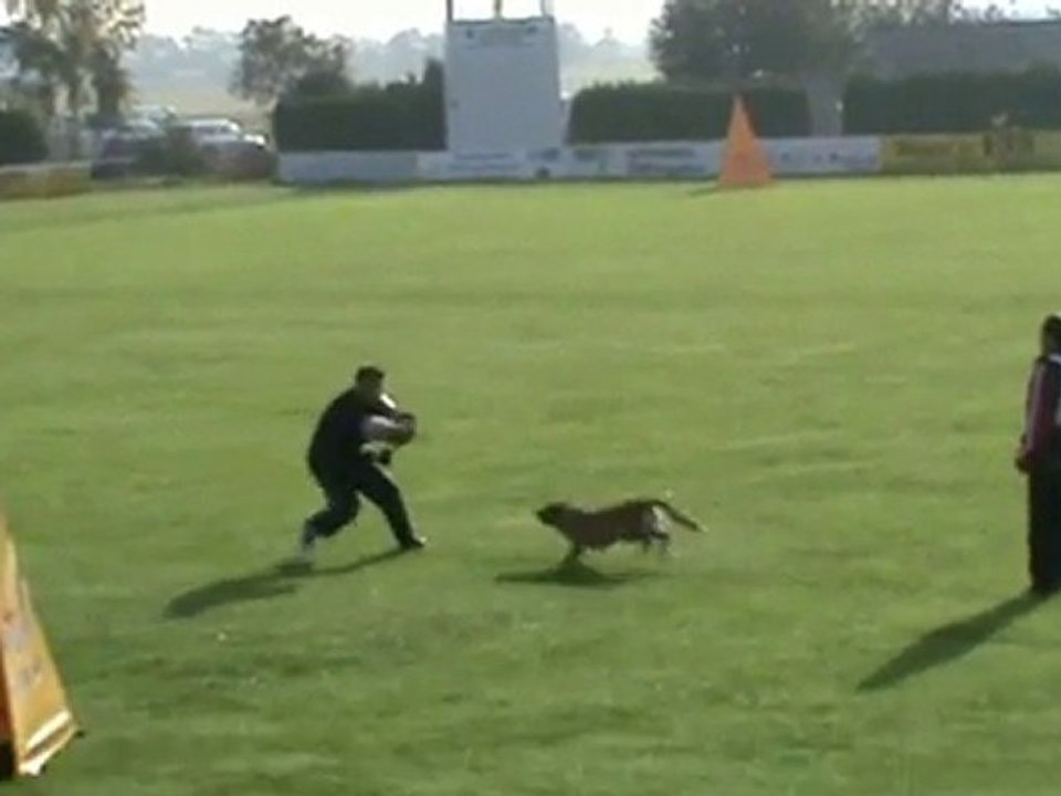 FCI-Quali-2011-FRISCH/Adami - Schutz