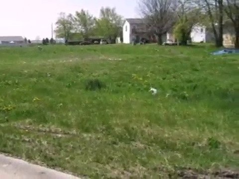 Homes for Sale - 300 Bradford Rd - Joliet, IL 60433 - Coldwe