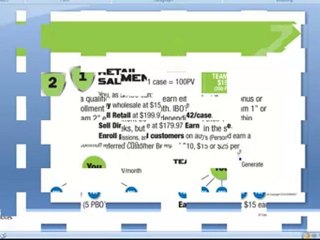 DENOVO 7 COMPENSATION PLAN, DENOVO7 COMP PLAN