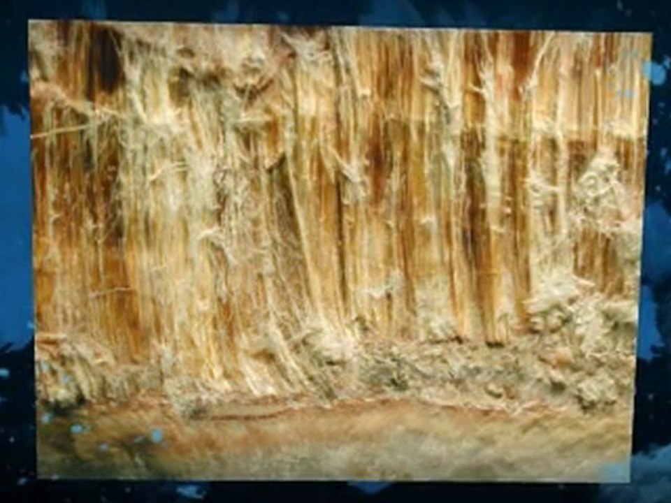 Asbestos Testing Amarillo TX